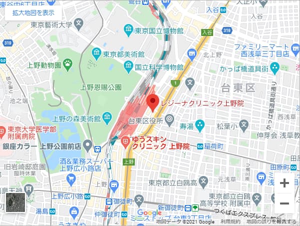 レジーナクリニック上野院